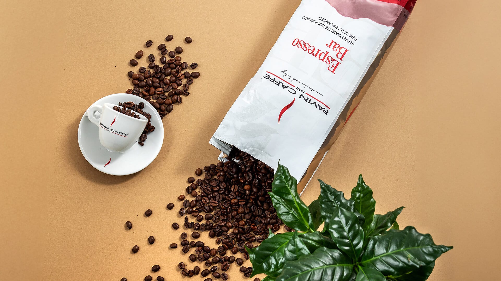 Chicchi di caffè Pavin su tavolo beige e tazzina logata